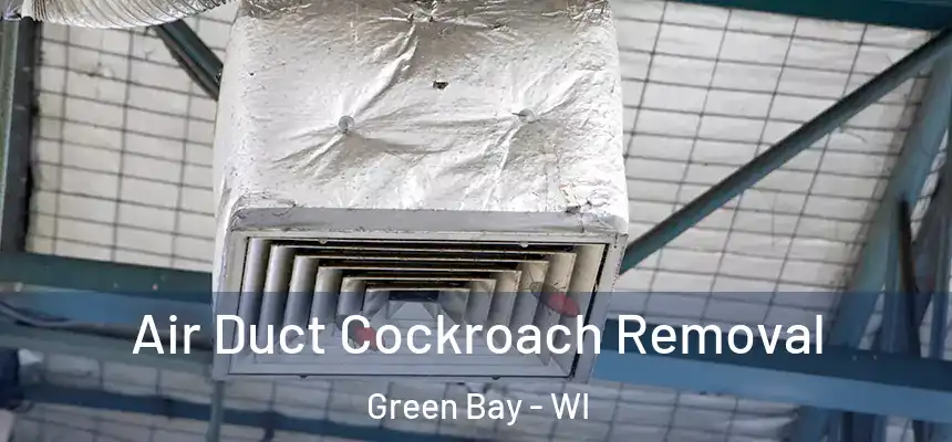 Air Duct Cockroach Removal Green Bay - WI