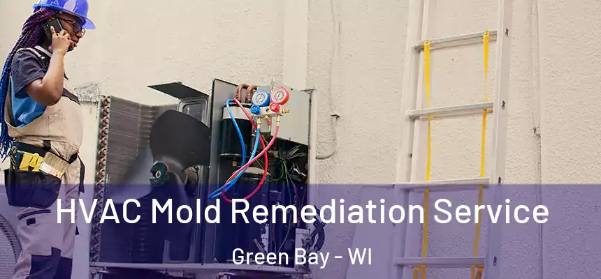  HVAC Mold Remediation Service Green Bay - WI