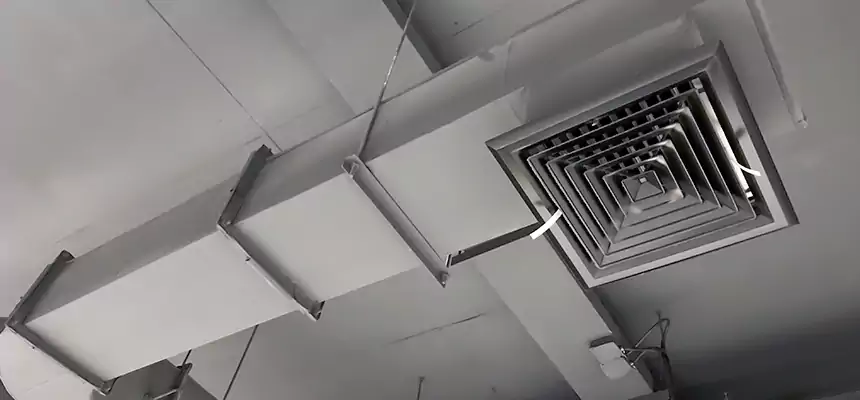 Our Pest Removal From Ducts Services in Green Bay, WI