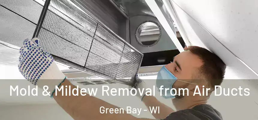 Mold & Mildew Removal from Air Ducts Green Bay - WI