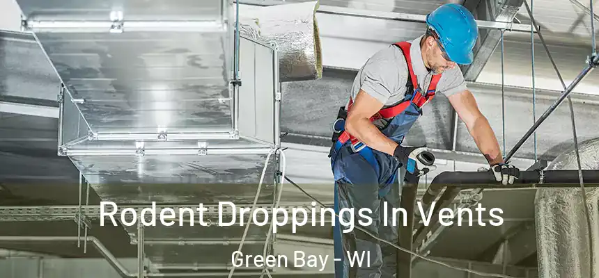  Rodent Droppings In Vents Green Bay - WI
