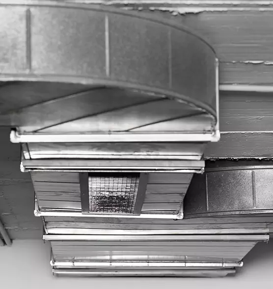 Professional Air Duct Pet Hair Removal in Green Bay, WI