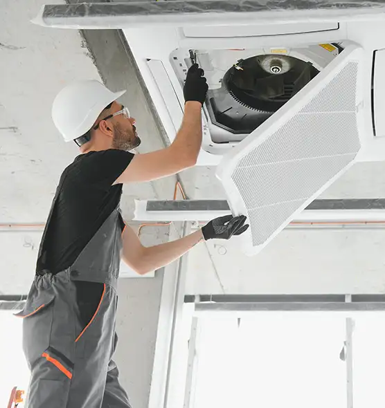 About Air Duct Rodent Removal in Green Bay, WI