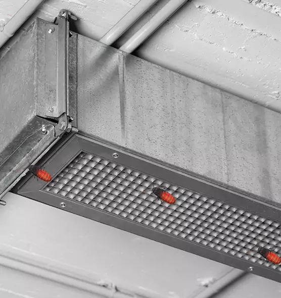 Affordable Insect Removal from Air Ducts in Green Bay, WI