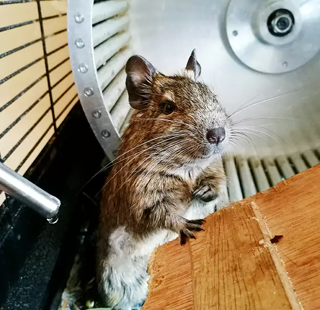 Why Homeowners & Businesses Trust Us Green Bay, WI?