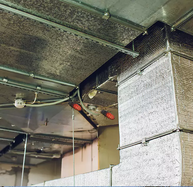 Why Homeowners & Businesses Trust Us Green Bay, WI?