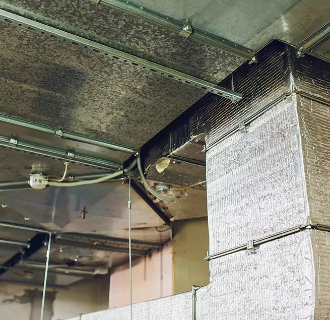 Why Homeowners & Businesses Trust Us in Green Bay, WI?